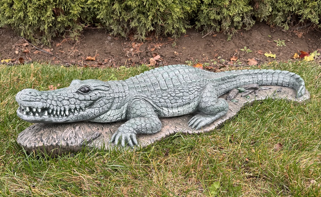 Alligator (Piped)