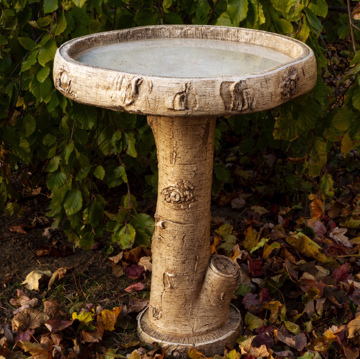 Birch Birdbath