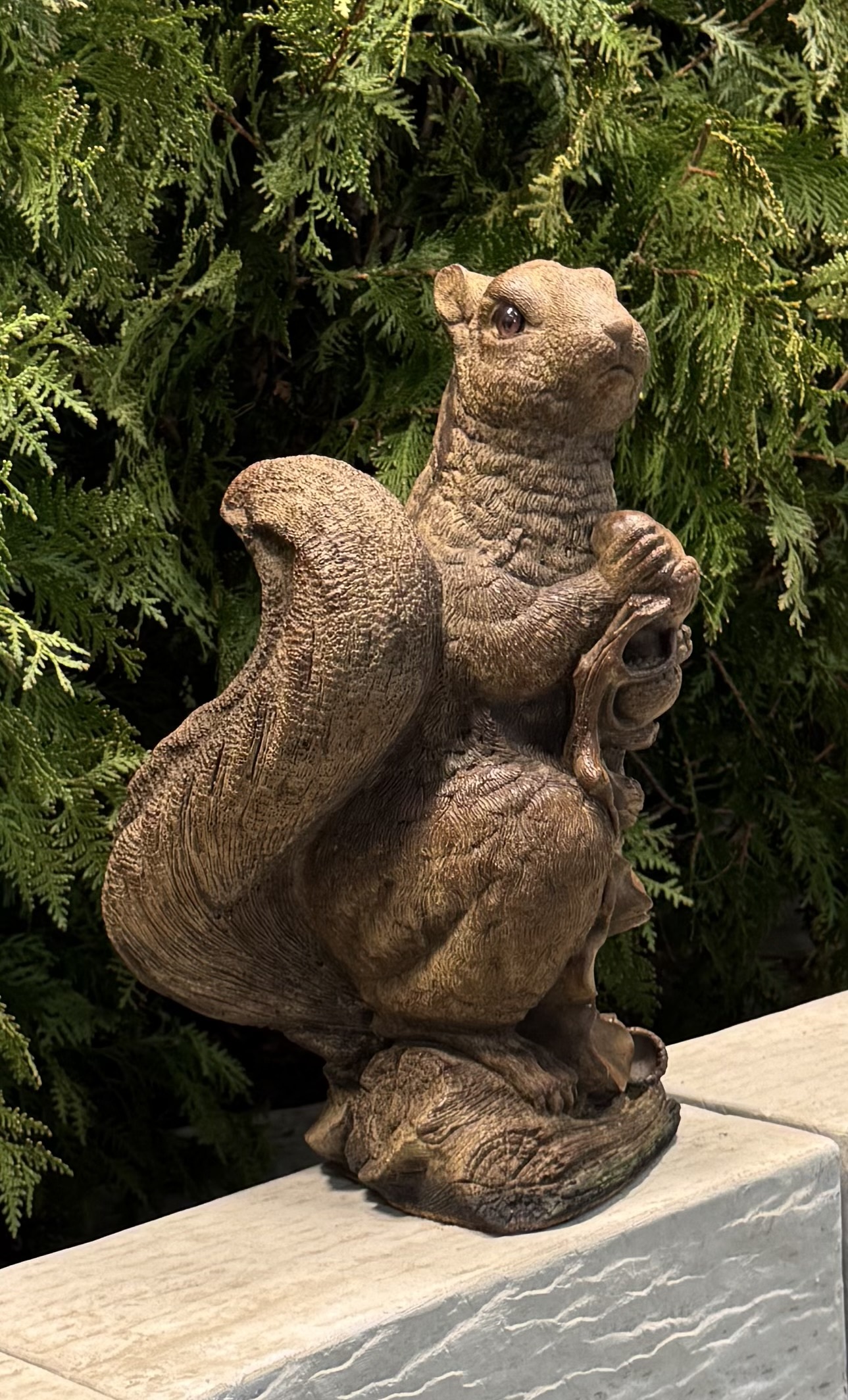 Tall Standing Squirrel