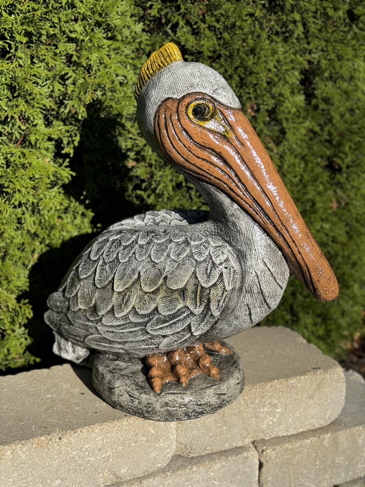 Pelican