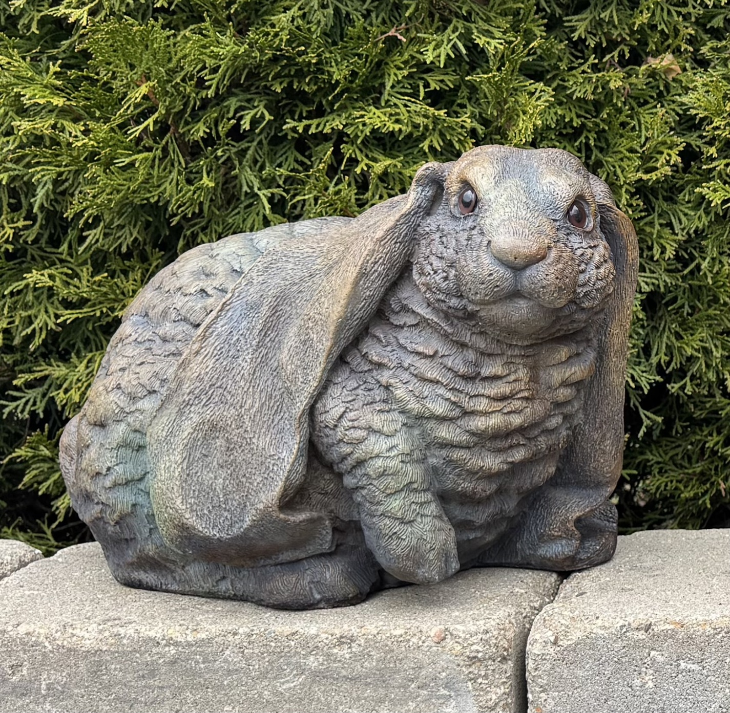 Lifted Paw Lop-Eared Rabbit