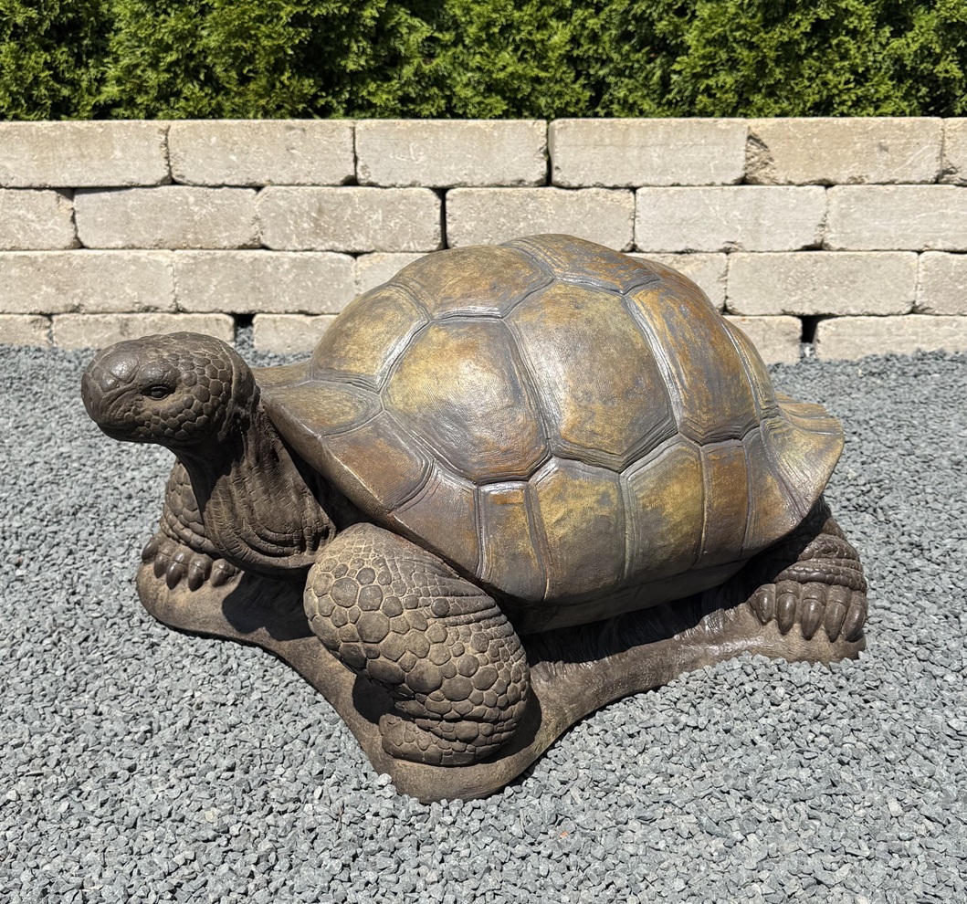 Large Turtle