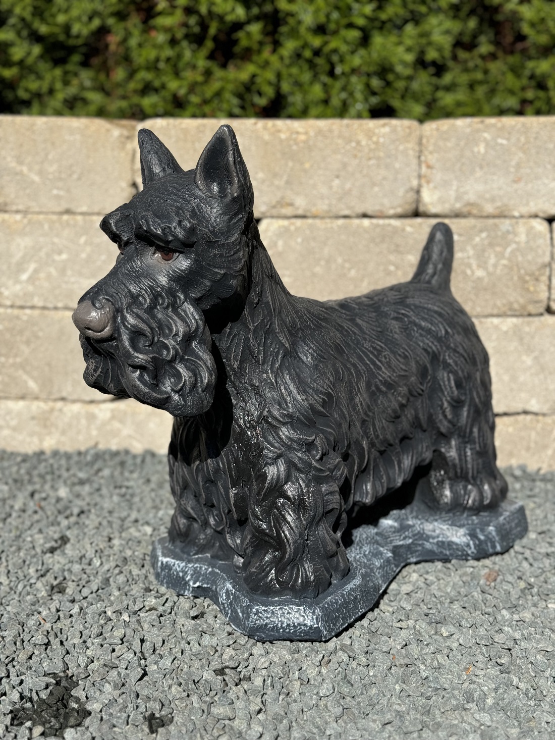 Scottish Terrier