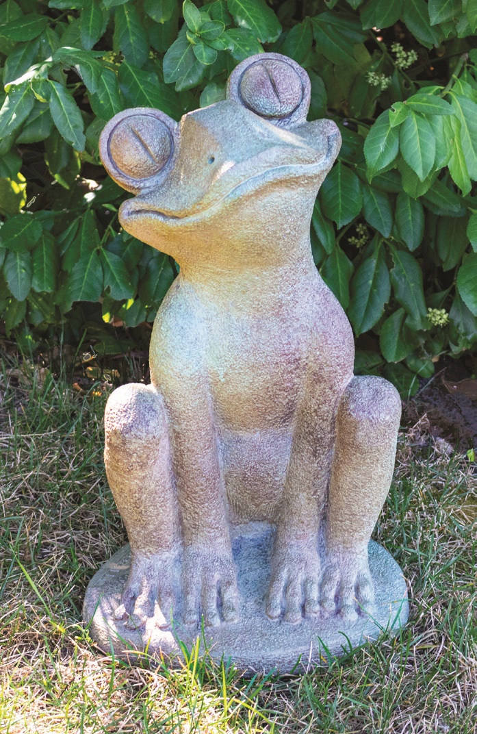 Googly-eyed Frog