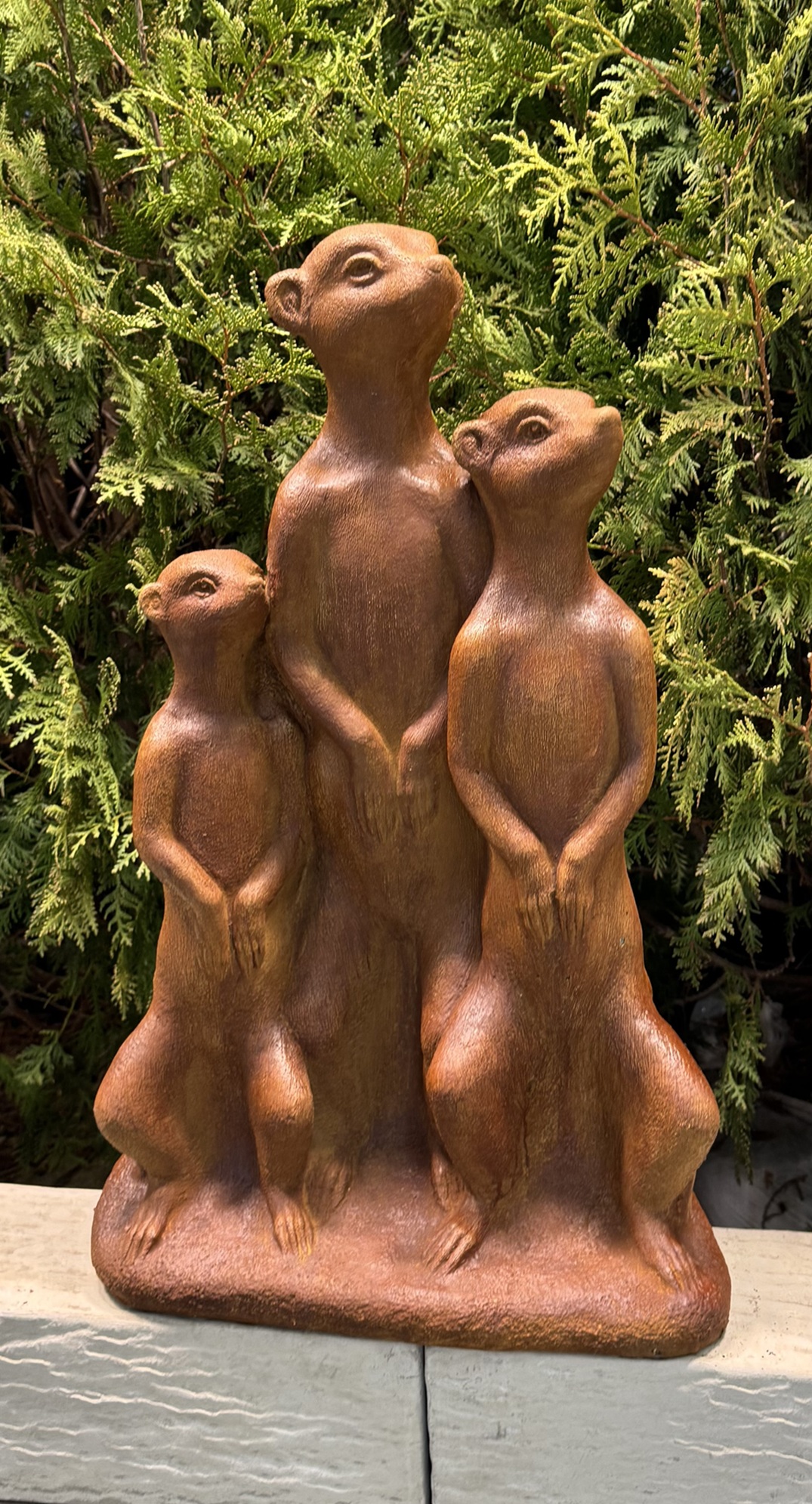 Tres Amigos Meercats