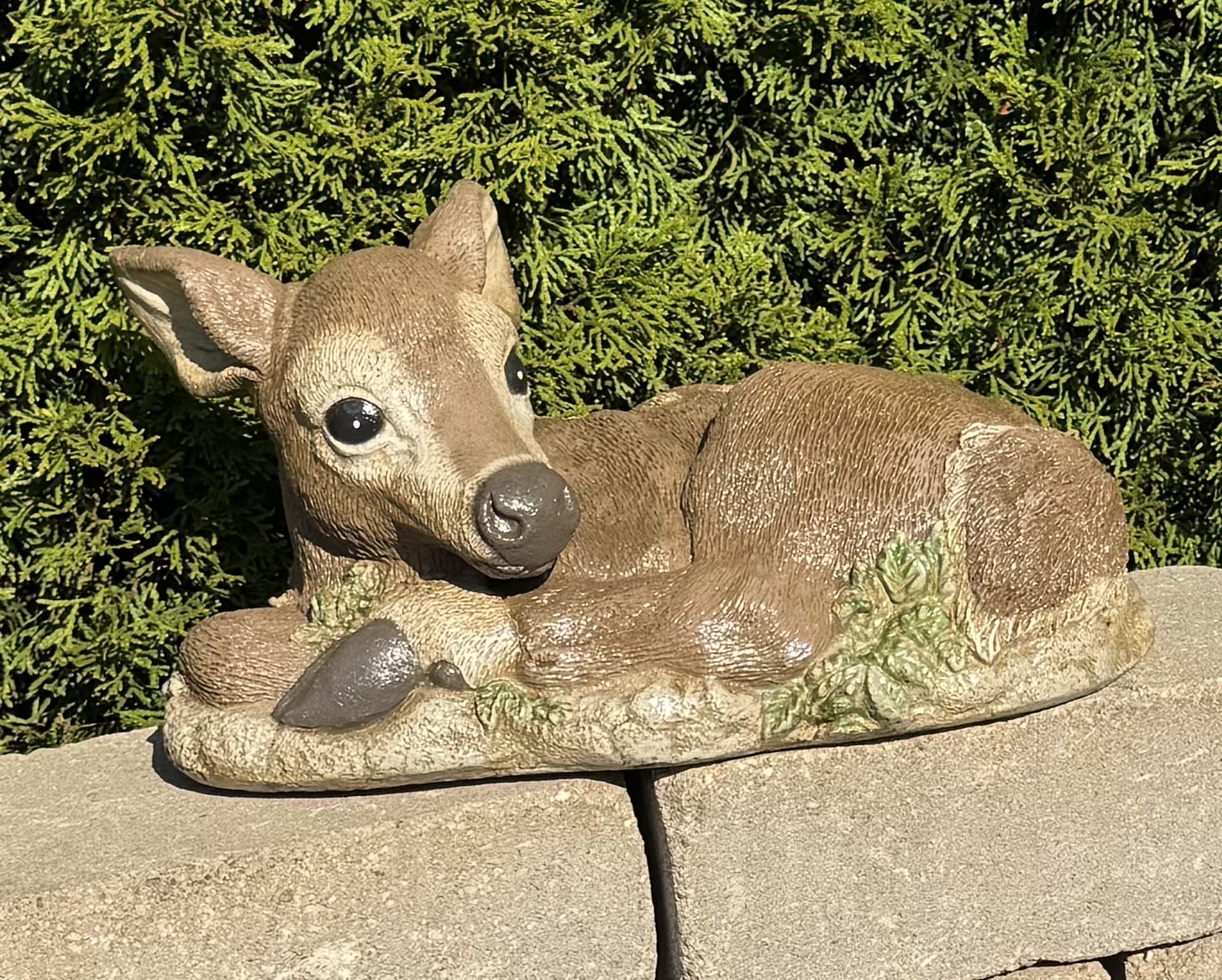 Sleeping Fawn