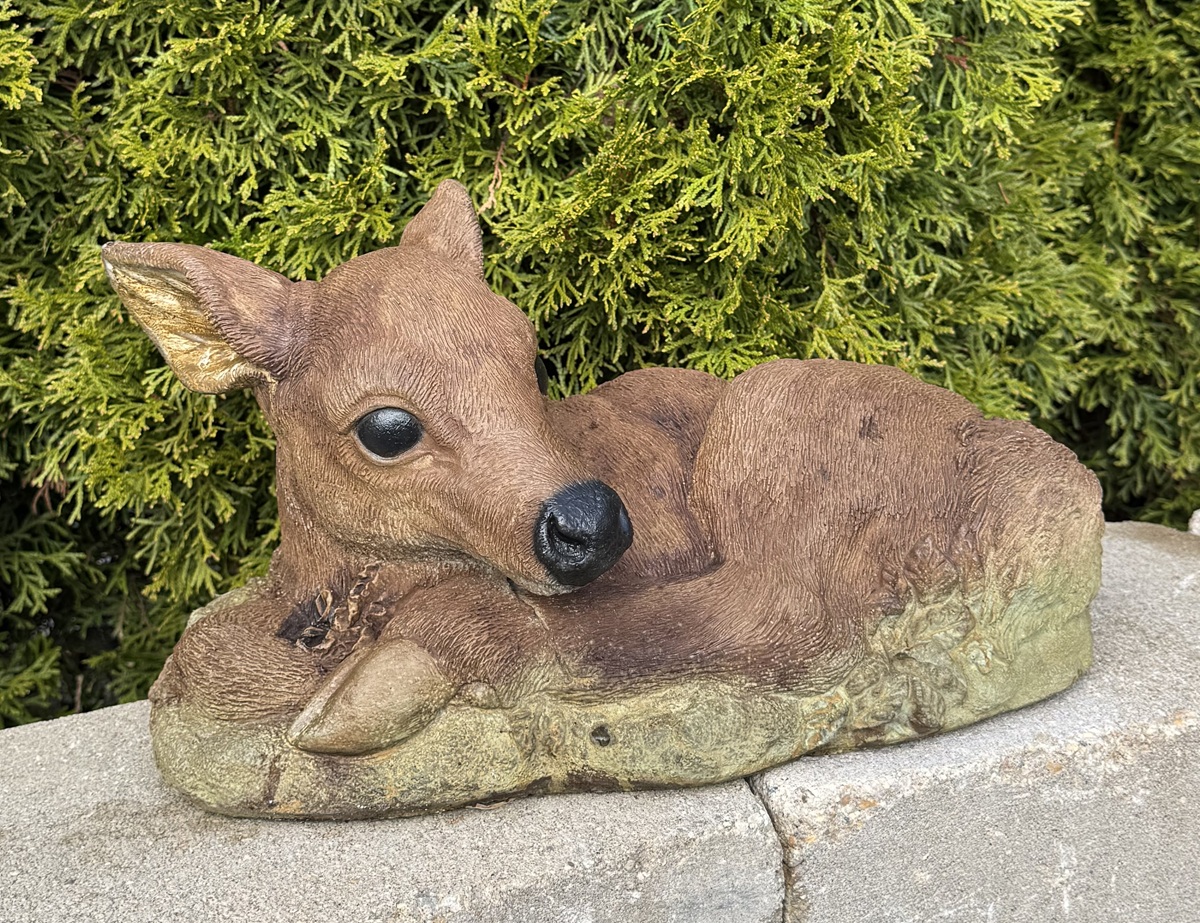 Sleeping Fawn