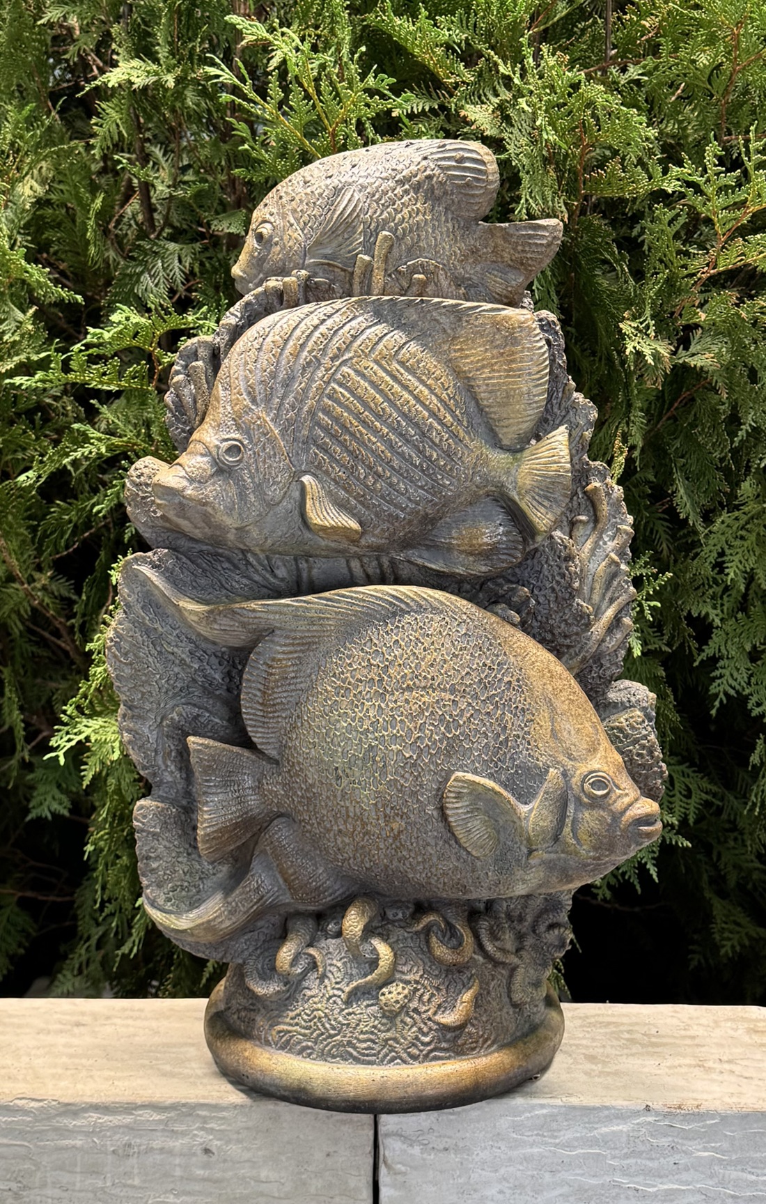 Tropical Reef