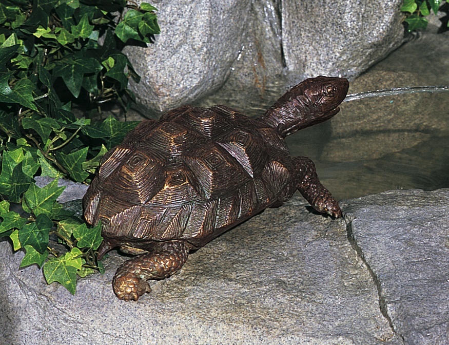 Medium Turtle (bronze)