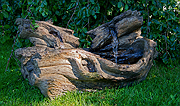 Fallen Logs Fountain