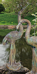 Male Crane (Piped)