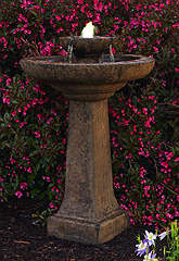 Aquarius Fountain