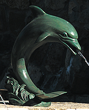 Medium Single Dolphin